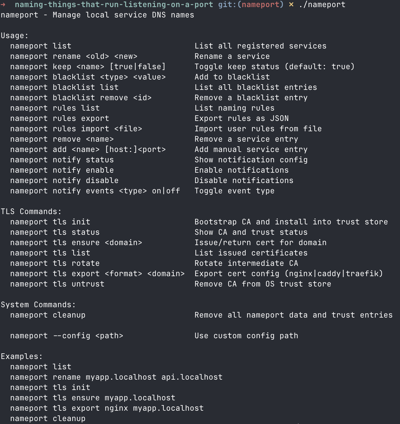 nameport CLI showing all available commands and usage
